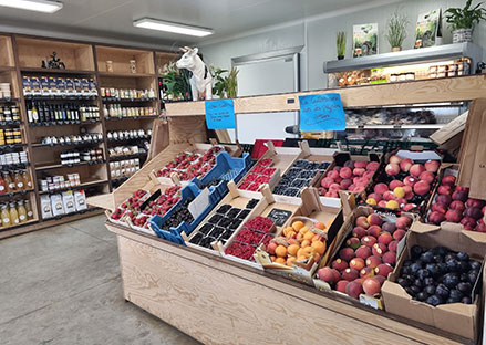 Fruit et légume de saison, ferme à Gozée